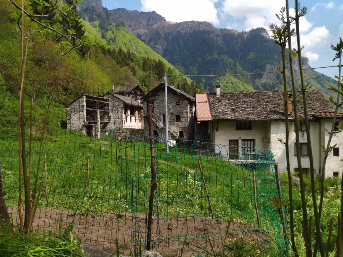 Il Fiume Di Fianco. Appartamento Alta Valsesia Mollia Exteriér fotografie